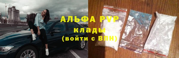 спиды Богданович