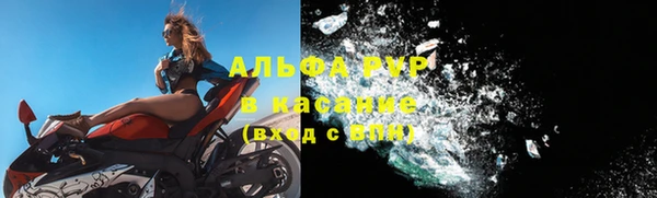 прущие крисы Верея