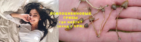 ПСИЛОЦИБИНОВЫЕ ГРИБЫ Верхний Тагил