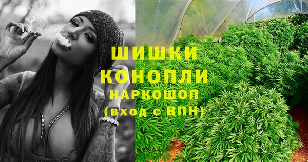 спиды Богданович