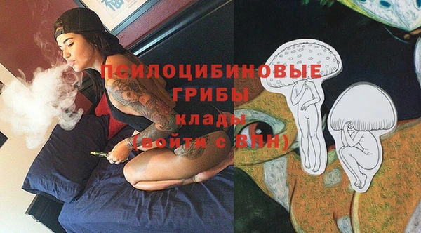 соль курить ск Богородицк