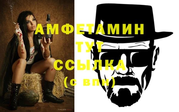 спиды Богданович