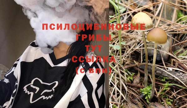 COCAINE Богородск