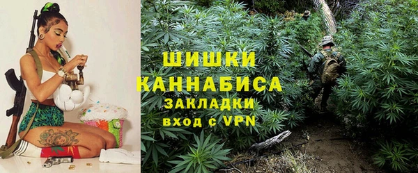 прущие крисы Верея