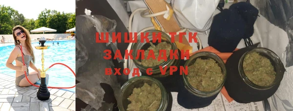 ПСИЛОЦИБИНОВЫЕ ГРИБЫ Верхний Тагил