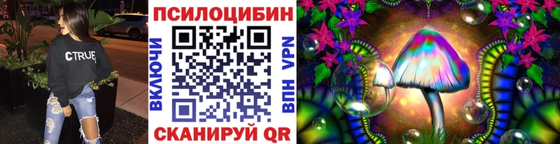 продажа наркотиков Змеиногорск Псилоцибиновые грибы GOLDEN TEACHER